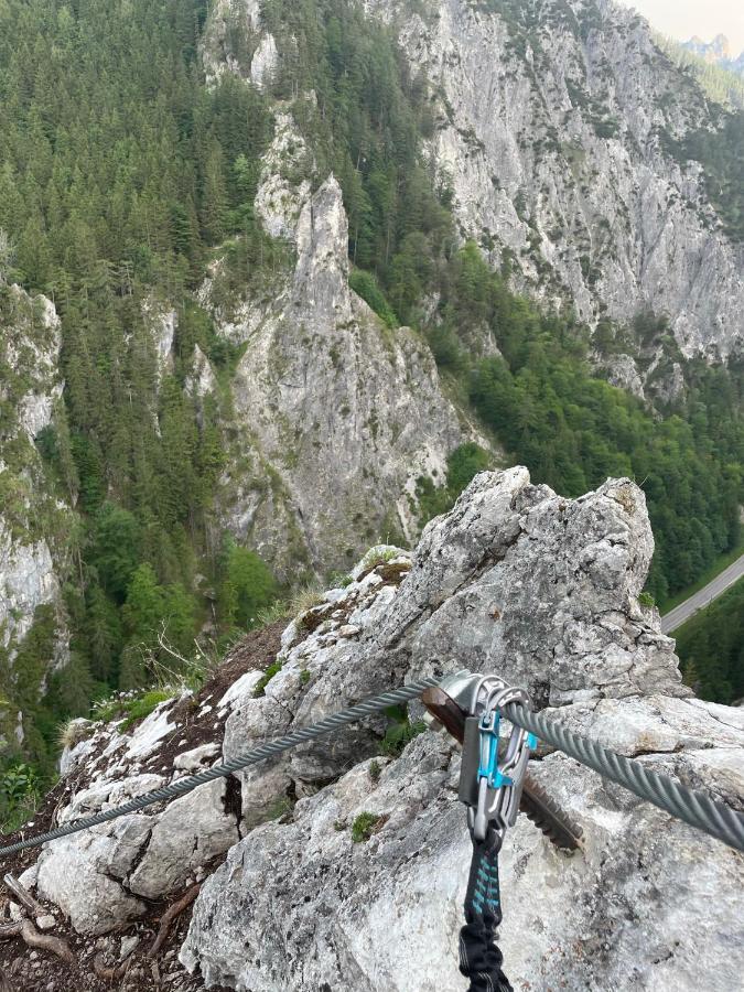 Berghaus Gesaeuse Pension Weng im Gesause Kültér fotó